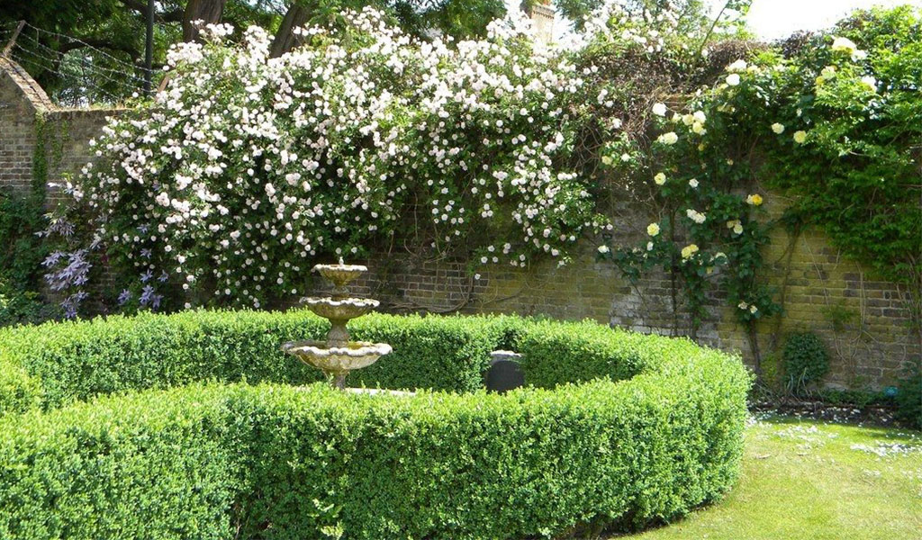 Garden design and its various styles